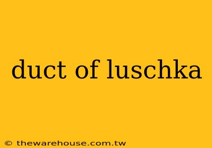 duct of luschka