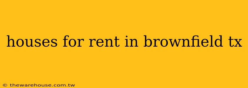 houses for rent in brownfield tx