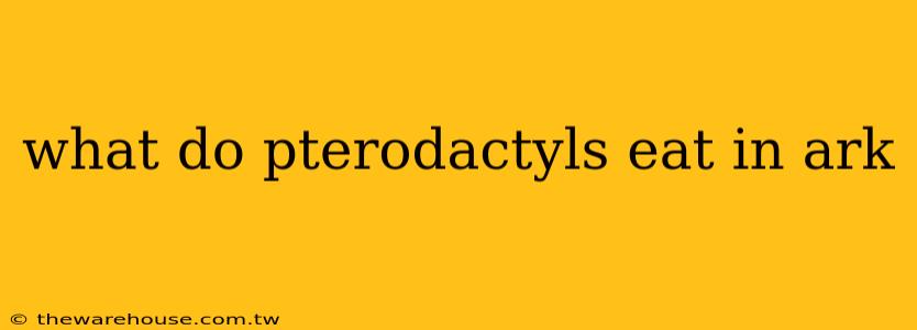 what do pterodactyls eat in ark