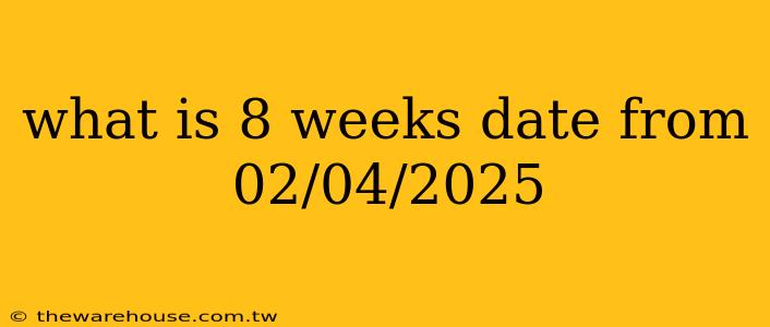 what is 8 weeks date from 02/04/2025