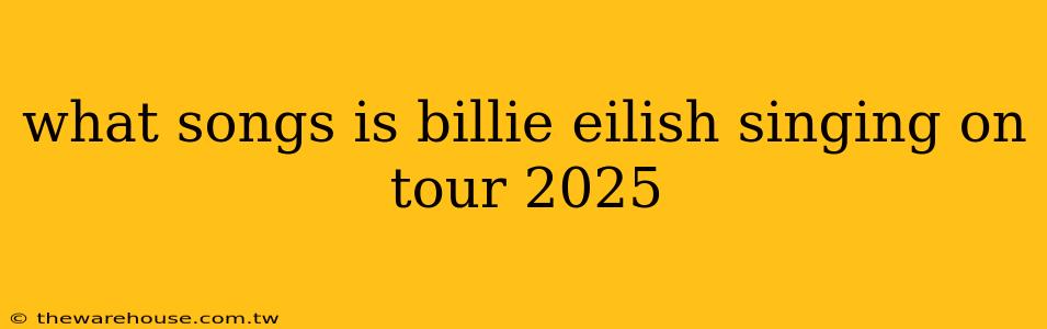 what songs is billie eilish singing on tour 2025
